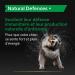 PRO PLAN Natural Defenses+ Dog Complementary food 135g - Buy Online on GoSupps.com