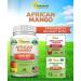 African Mango Extract Cleanse (180 Capsules) - Irvingia Gabonensis Seed Fat Burner for Fast Weight Loss - Detox Supplements for Slimming - by aSquared Nutrition - Buy Online on GoSupps.com