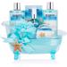 BRUBAKER Cosmetics Bath and Shower Set Summer Dreams - 7-piece gift set in a decorative tub Sea Breeze