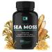 Irish Sea Moss Capsules | With Organic Irish Moss  300mg Burdock Root & 500mg Bladderwrack Powder | 45-Day Supply | 1300mg Complex | Provides Iodine for Thyroid & Immune Support | 90 Veggie Pills