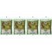 Ngr Fennel Seeds - 100g - 4 x 100g Packs - Buy Online on GoSupps.com