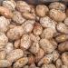 Pinto Beans Dry Bulk (16 Pounds) - Premium USA Grown for Perfect Refried Beans | 100% Natural & Triple Cleaned - Buy Online on GoSupps.com