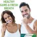 Himalaya Mint Fresh Gel Toothpaste - Fluoride Free 6.17 oz | Reduce Plaque & Brighten Teeth | Mint Fresh - Pack of 1 - Buy Online on GoSupps.com