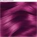 Adore Shining Semi Permanent Hair Colour 83 Fiesta Fuchsia 83 Fiesta Fuchsia 118 ml (Pack of 1) - Buy Online on GoSupps.com