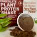 Earthli Chocolate Plant Protein Shake (940g) | Hemp Based Superfood | 20g Protein | Keto Friendly Non-GMO No Added Sugar | Vegan Plant-based Protein Powder | All-in-one Nutritional Shake - Buy Online on GoSupps.com