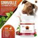 Vital Paws 3x75 Urine & Bladder Capsules for Dogs & Cats | Herbal Home Remedies with Cranberry Mannose & Nettle - Buy Online on GoSupps.com