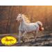 Devil's Claw Liquid for Horses Ponies & Dogs | 1L Natural Supplement Scheidler Horse-Direkt - Buy Online on GoSupps.com