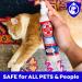 FlexTran Ring Out for Pets: Ringworm Control & Itch Relief Spray - 8 oz Bottle - Buy Online on GoSupps.com