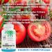 PlantVital Probiotic Supplement for Men - 50 Billion CFUs 15 Strains Probiotics for Men - Supports Prostate Digestive and Gut Health - 1 Month Supply 30 Capsules 30 count (Pack of 1) - Buy Online on GoSupps.com