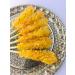 Saffron Candy Sugar from Saffron Syrup 3 Cans (19 Sticks Each) Saffron Rock Sugar - Buy Online on GoSupps.com