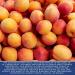 Buy Traina California Sun Dried Fancy Apricots â€“ 2 lbs | Sweet & Nutritious Snack - Buy Online on GoSupps.com