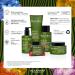 Alfaparf Milano Benvoleo Glossy Micellar Shampoo - Vegan Sulfate Free Sustainable Hair Care for Dull Hair - Adds Shine & Softness - 9.3 FL. Oz - Buy Online on GoSupps.com