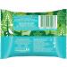 Simple Daily Skin Detox Clear + Matte Biodegradable Wipes with vitamin B3 cleansing make-up remover for oily skin 20 wipes (Pack of 2) 20 count (Pack of 2) Wipes - Buy Online on GoSupps.com