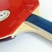 Palio Master 2.0 Table Tennis Racket & Case - ITTF Approved - Flared Handle for Intermediate Players - Buy Online on GoSupps.com