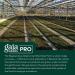 Gaia Herbs Ocular Pro Formula 60ct - Eye Health Support - Buy Online on GoSupps.com