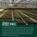 Gaia PRO Microbiome Cleanse - Premium Gut Health Supplement | International Shipping Available - Buy Online on GoSupps.com
