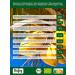 Buy Biojoy ORGANIC Coconut Flakes 500g - Dried & Unroasted for Healthy Snacking | International Shipping - Buy Online on GoSupps.com