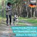 Shop Dog is K nig Adjustable 2.3m Dog Leash | Robust Black Leash with Security Carabiner | Triple Guide Leash for Large Dogs | Durable 15mm Rope - Buy Online on GoSupps.com