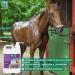 MENFORSAN Flea Shampoo for Horses 5L with Margosa Geraniol and Lavandin Protects Against All Insects - Buy Online on GoSupps.com