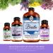 Rose Essential Oil - 8oz Bottle for Skin and Aromatherapy - Buy Online on GoSupps.com