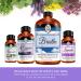 Buy Oil of Youth Cinnamon Bark Essential Oil 8oz - Premium Bulk Cinnamon Bark Oil for Skincare & Wellness - Buy Online on GoSupps.com