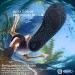 SIMARI Water Shoes SWS001 - Quick-Dry Aqua Socks for Beach, Pool, and Yoga - Black, Size 8.5-9.5 Women/7.5-8.5 Men - Buy Online on GoSupps.com