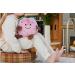 Shop Warmies Apple Soft Toy with French Lavender - International Shipping Available - Buy Online on GoSupps.com