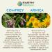 Earth Elements Organics Arnica & Comfrey Salve - Herbal Blend of Oils Beeswax Vitamin E Tea Tree Oil Skincare Body Care Light Herbal Salve - 3.5oz - Buy Online on GoSupps.com