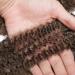 SEGO 3 Packs Afro Crochet Braids - Kinky Curly Hair Extensions in Natural Black & Honey Blonde - Best for Stylish Hair Transformations - Buy Online on GoSupps.com
