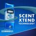 Gillette Clear Gel Arctic Ice 3.8OZ - Long-Lasting Deodorant for All-Day Freshness | International Shipping Available - Buy Online on GoSupps.com