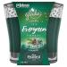 Glade Candle Jar Air Freshener Icy Evergreen Forest 3.4 Oz