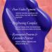 ORIBE Bright Blonde Radiance & Repair Treatment 175 ml - Buy Online on GoSupps.com