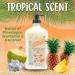Coral Beach Daily Moisturizer & Tan Extender Lotion | Aloe Vera Hypoallergenic After Sun & Tanning Bed Lotion for Sensitive Skin | Unisex Fresh Scent - Buy Online on GoSupps.com