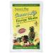 Natures Plus Source of Life Energy Shake Packets 8 Pack - 8 Individual Servings - Energy Boosting Multivitamin Mineral & Protein Shake - Whole Food Concentrates - Non-GMO Gluten-Free - 8 Servings