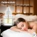 Fresh Line 19ml Refill Bottles - Air Freshener Compatible with Air Wick - 12 Vanilla Fragrance Plugs - Fragrance Dispenser Replacement - International Shipping - Buy Online on GoSupps.com