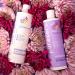 Purezero Hydrating Shampoo & Conditioner Set - Color Care for Color Treated Hair - 100% Vegan & Cruelty Free - Zero Sulfates, Parabens, Dyes - Buy Online on GoSupps.com