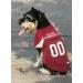NFL Chicago Bears Mesh Jersey for Cats and Dogs- Small Arizona Cardinals - Buy Online on GoSupps.com
