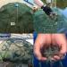 Goture Portable Folded Fishing Net with 12 Holes and 100 Feet Rope - Ideal for Catching Fish, Shrimp, Minnows, Crayfish, and Crabs - Buy Online on GoSupps.com