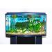Mag-Float Glass Aquarium Cleaner Small - Buy Online on GoSupps.com