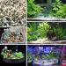 Miukada 5lb River Rocks Pebbles Decorative Polished Gravel - Natural Mixed Color Stones - Buy Online on GoSupps.com