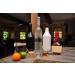 100 Premium 2oz Clear Plastic Shot Glasses - Ideal for Jello Shots, Condiments, Tastings & Samples - Buy Online on GoSupps.com