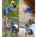 Pet Denim Stripe Jumpsuit for Small Dogs | Adorable Puppy Jeans Coat | Dog Hoodie Apparel in Blue-1 | S Weight (34lb) | Chest (12) | Machine Washable - Buy Online on GoSupps.com