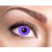 Eyecatcher 84095241-w08 - Colored contact lenses 1 pair weekly lens purple carnival Mardi Gras Halloween
