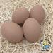 Cackle Hatchery Ceramic Nest Eggs - Set of 4 Brown - Dummy Eggs for Chicken Coop - Buy Online on GoSupps.com