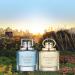 ABERCROMBIE & FITCH AWAY by Abercrombie & Fitch EDT SPRAY 3.4 OZ - Buy Online on GoSupps.com