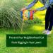 Nature's MACE Cat Repellent 2.5LB - Keep Cats Out of Your Garden - Safe for Children & Plants - Buy Online on GoSupps.com
