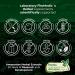 FITO MEDIC S Lab Hyaluronic Acid Capsules - 1200 mg 180 Capsules for Skin Hydration Joint Support & Antioxidant - Ultra High Absorption International Shipping Available - Buy Online on GoSupps.com