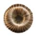 CAISHA by PRETTYSHOP Hair Donut Up Do Hair Ring Hairstyler Bun Maker Bridal Hairpiece Hair Styling Tool Blonde Mix DK5 blonde mix #DK5