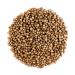 Coriander Seed Organic Gourmet Quality - Cilantro Seeds For Elevating Dishes - Organic Cilantro Corriander Corrriander Corrinder Corriandar Corrander Corrinader Corriandor Corrinander Corriender 100g 3.53 Ounce