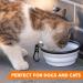 ON Tour Portable Foldable Drinking Bowl with Carabiner | Unique Pet Food Bowl for On-the-Go | Ideal for Travel & Outdoor Adventures - Buy Online on GoSupps.com